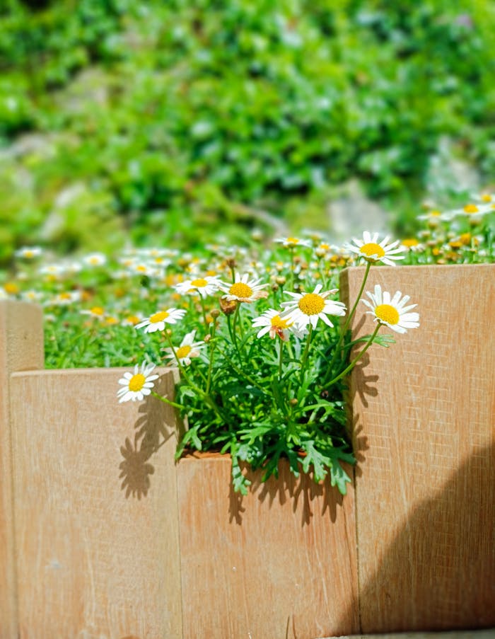 Home pexels-photo-34389326.jpeg